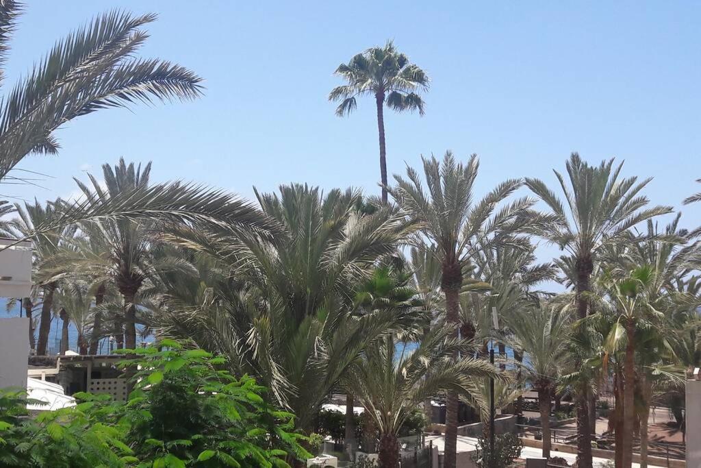 Guayero, Bel Appartement A 50M De La Mer Los Cristianos  Dış mekan fotoğraf
